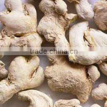 Dried Ginger