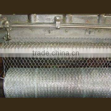 supplier of hexagonal wire mesh (electro galvanized/ hot dipped galvanized/ hot-dipped galvanized)