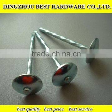 roofing umbrella nail