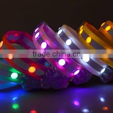 led gem dog collar