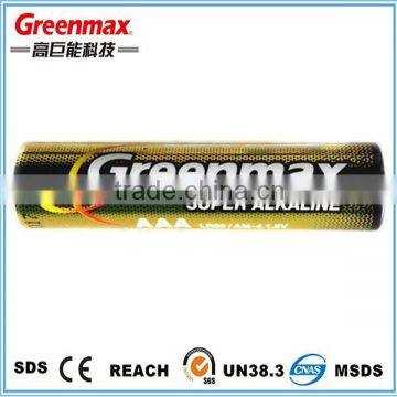 1.5V AAA/ LR03 Alkaline Battery for Digital Door Lock