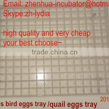 221 quail eggs tray for incubator with high quality