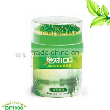 Nature Double Tips Bamboo Toothpick Minted
