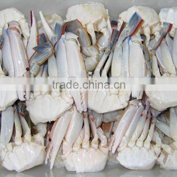 Frozen half cut crab cutting swimming crab