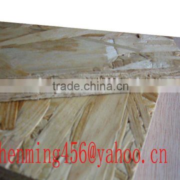 OSB/oriented strand board for building 1220*2440*15