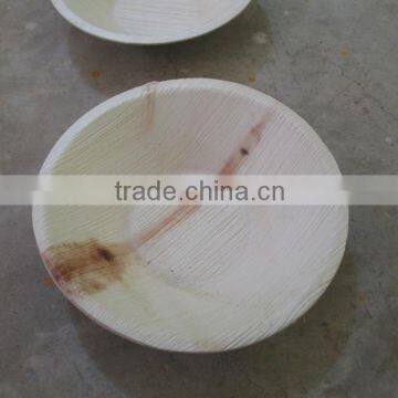 Super Quality of Areca Cups Wholesale Supplier in Dubai