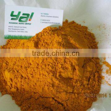 Turmeric Powder Market Price