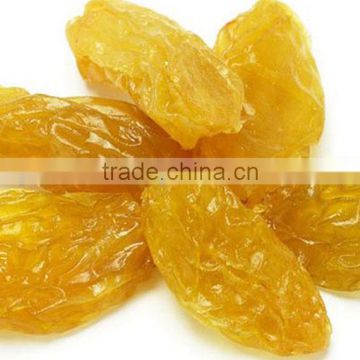 Golden Raisin Price for Sale