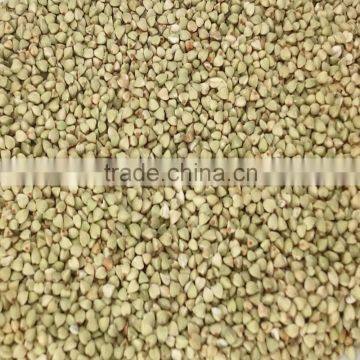 High Quality Raw Buckwheat Kernel