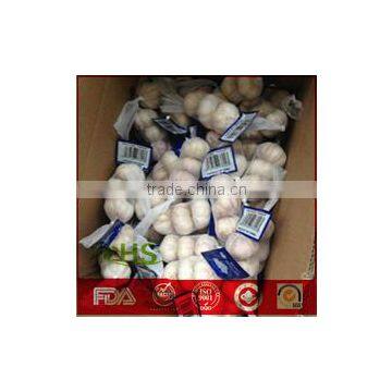 White Fresh Garlic of China