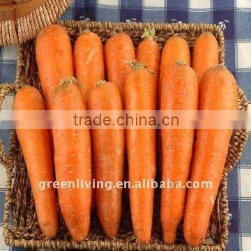 2014 fresh carrot supplier (factory,moderate price)