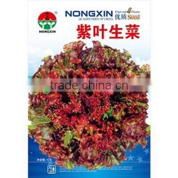 High Quality Purple Lettuce Seeds For Growing-Purple Leaf Lettuce