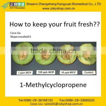 GMP manufacturer supply --Keep Your Fruit Fresh with our 1-MCP