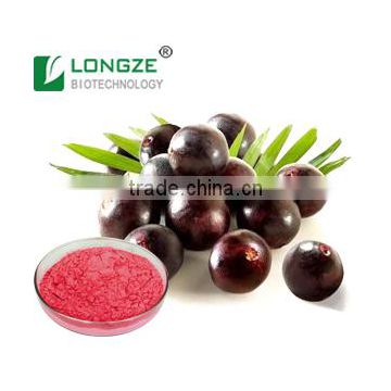 100% Natural Fruit Extract Anti-oxidant Brazilian Acai berry Powder Extractwith Anthocynidins 1--10% and Polyphenols 1--10%