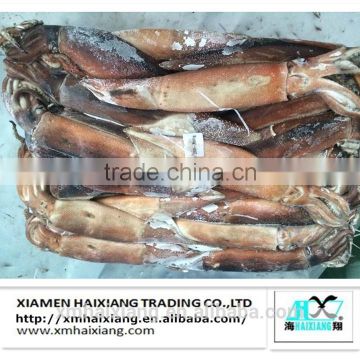 High Quality Frozen Whole Round Argentinus Illex Giant Squid price