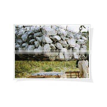 gabion mesh