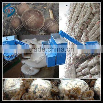 Advance design oyster production line for sale/oyster mushroom equipment/oyster mushroom bagging equipment