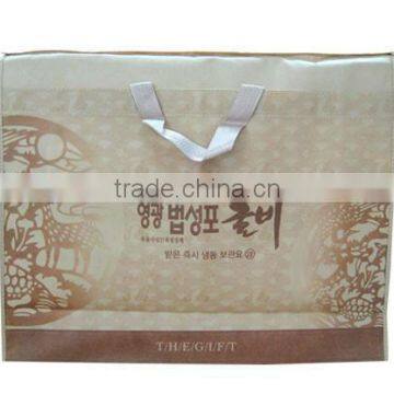 Ecological Promotional PP Non Woven Bag