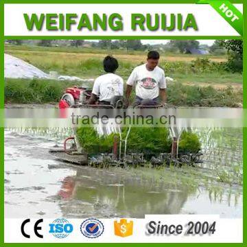 175F India Riding type 238mm 8Rows Rice Transplanter with Cheap rice transplanter price