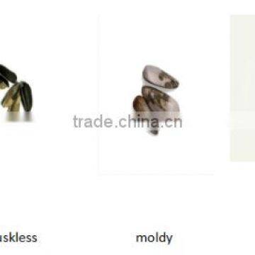 CCD Camera Grain / Sunflower CCD Camera Color Sorter photo-2