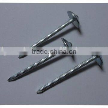 2 Inch Umbrella Head Roofing Nail Twisted Shank Roofing Nail With Factory Price photo-3