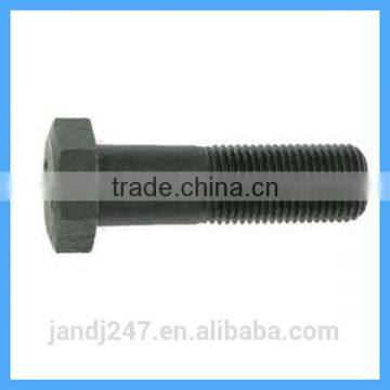 Black Color Hexagon Bolt with High Quality