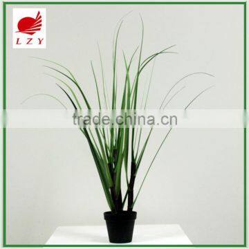 Factory Direct Sale Large Garden Decoration Onion Grass photo-4