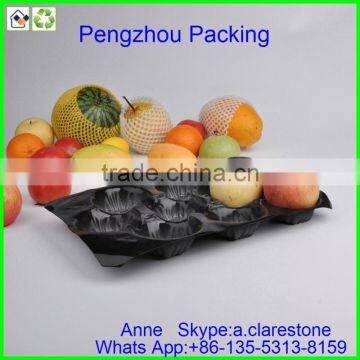 Pengzhou Plastic Macaron Tray photo-2