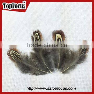 Lower Price Natural Synthetic Pheasant Feathers for Carnival Costumes
