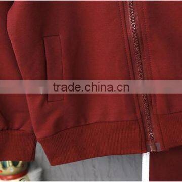 Fashion Casual Cotton Kids Boys Sport Clothes and Zip up Hoodies Sport Wear Sets photo-6
