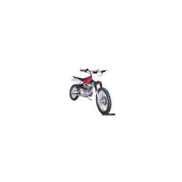 Dirt Bike (SP200GY-A)