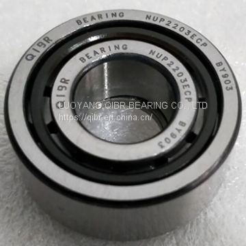 NUP2203ECP QIBR Cylindrical Roller Bearings
