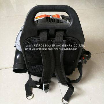 Euro 5Mission Standard Leaf Blower Large Wind Engine Blower EB955 photo-5