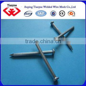 Price of Iron Nails photo-2