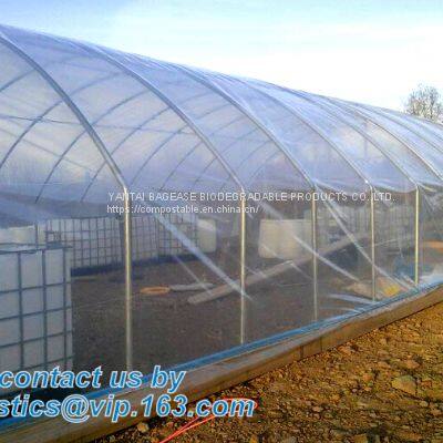 Plastic Film Agriculture Greenhouse,6 Mil Poly Anti-uv Plastic Greenhouse Film,Anti-fog UV Resistant,mushroom,TOMATO PAC photo-5