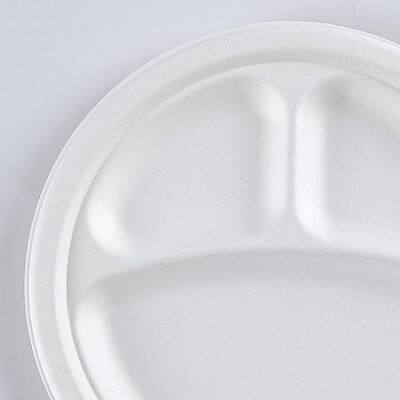 Disposable Biodegradable 9INCH 3C PLATE Take Away Sugarcane photo-3