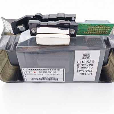 Epson /Roland dx4 printhead