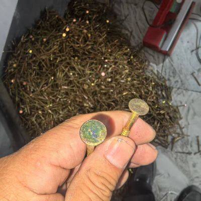 Durable SafeTop Nails With Plastic Cap for African and Southeast Asian Markets photo-2