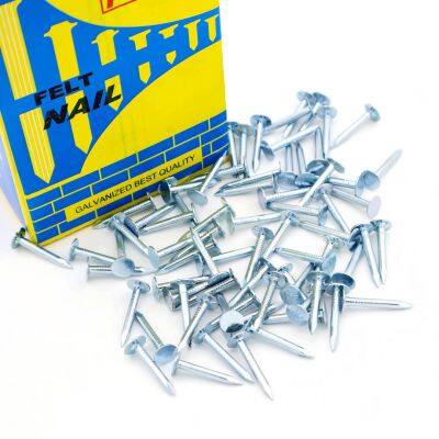 Clout Head Nails for Felt Roofing - Electro-Galvanized Finish, 1lb Box