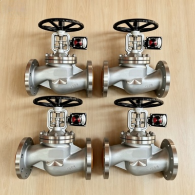 Corrosion-Resistant 316L Globe Check Valve With Position Indicator API 594