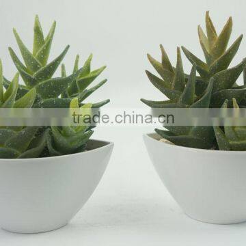 Cheap Wholesale Artificial Bonsai Artificial Cactus for Decoraton photo-3