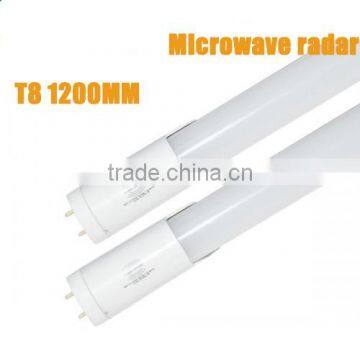 High Lumens 600mm 8-10m t8 Radar Microwave Sensor Led Tube 9w photo-5