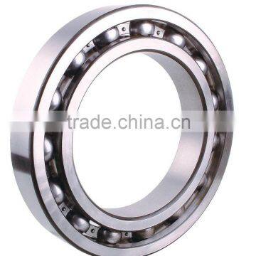 Extra Large Ball Bearing