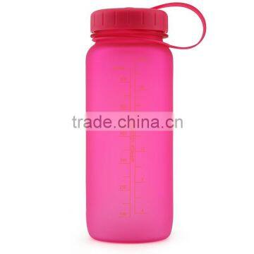 Hot Selling BPA Free Plastic Water Bottle With Straw and Filter for Sale photo-3