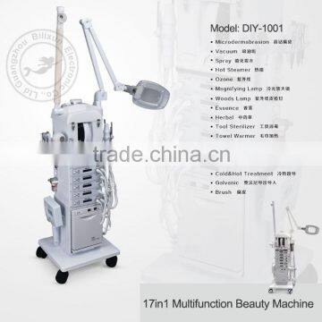 Hotsale 17 in 1 Multifunction Skin Care Beauty Salon Machine DIY-1001 Quality Choice