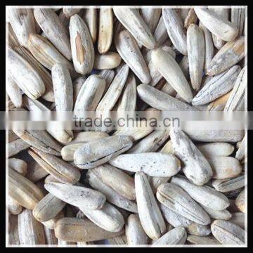 Roasted And Salted White Sunflower Seeds , 2015 Crop