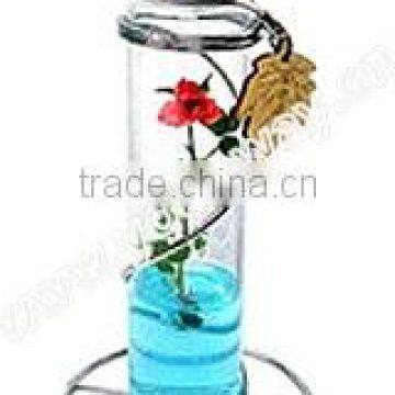 Finger flower,Finger rose,Pet plant