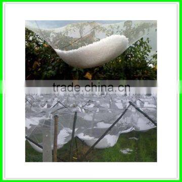 Strong and Durable Agricultural Protection Anti Hail Net/hail Screen photo-3