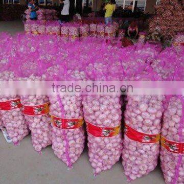 Fresh Garlic photo-6