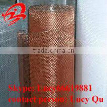 phosphor bronze wire mesh (15 years factory, competitive price )